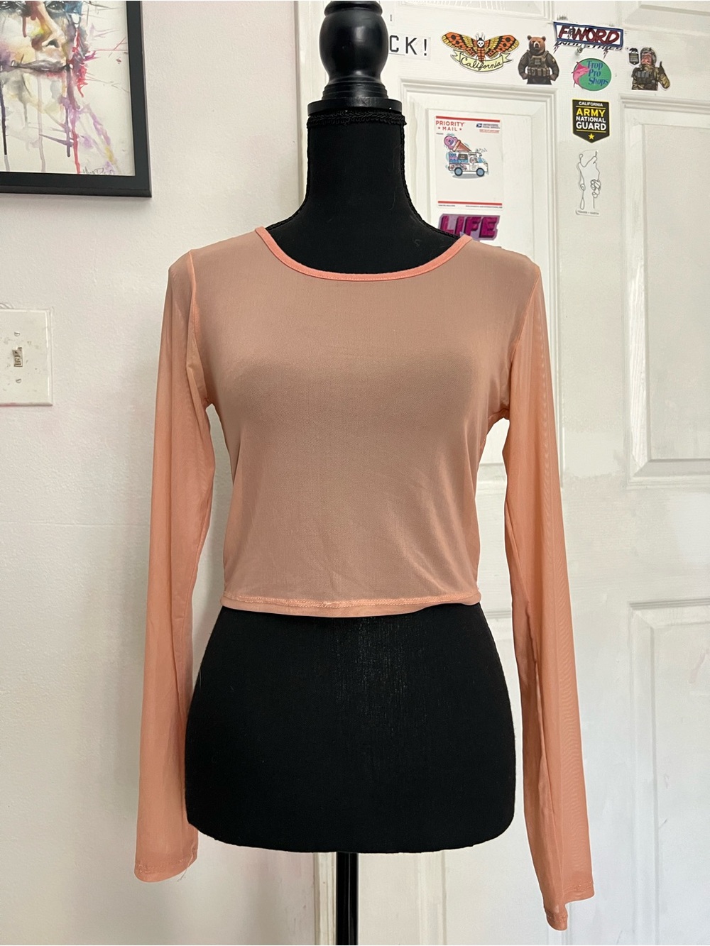 Bozzolo Peach Sheer Long-Sleeve Crop Top